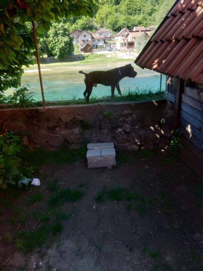 Ferienwohnung Alfa Kulen Vakuf Exterior foto